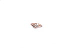 Rose Gold Halo LV Symbol Ring | 925 Sterling Silver